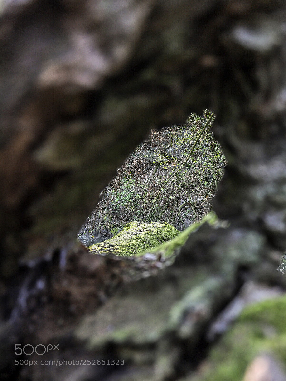 Canon EOS 6D Mark II sample photo. Through the hole photography