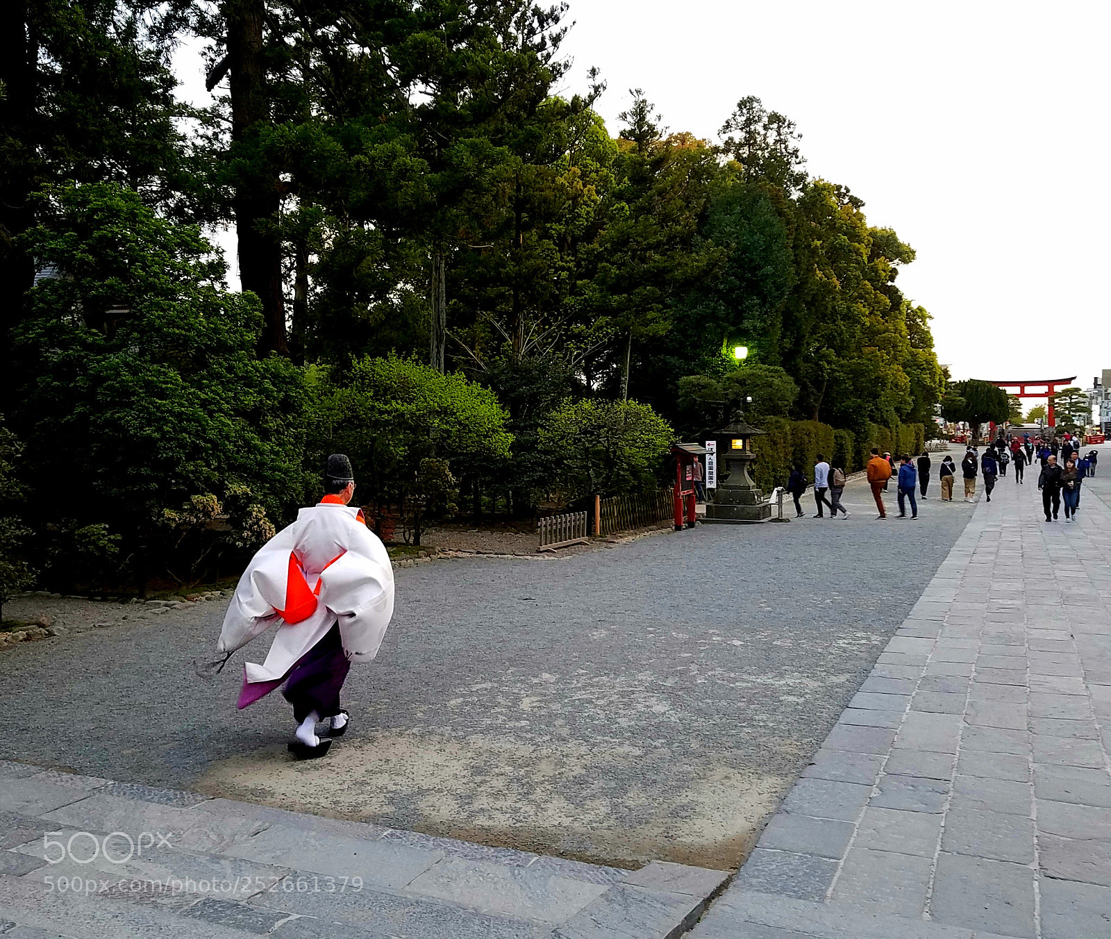 Samsung Galaxy S7 Edge sample photo. 八幡宫 photography