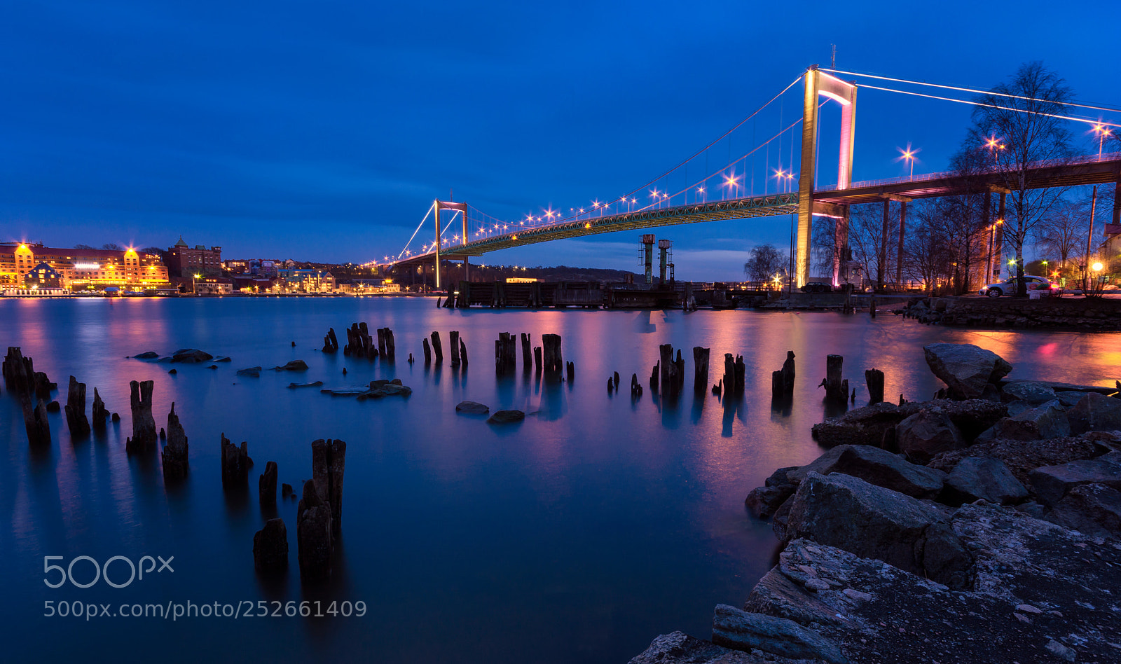 Nikon D5200 sample photo. Suspension bridge at gothenburg photography