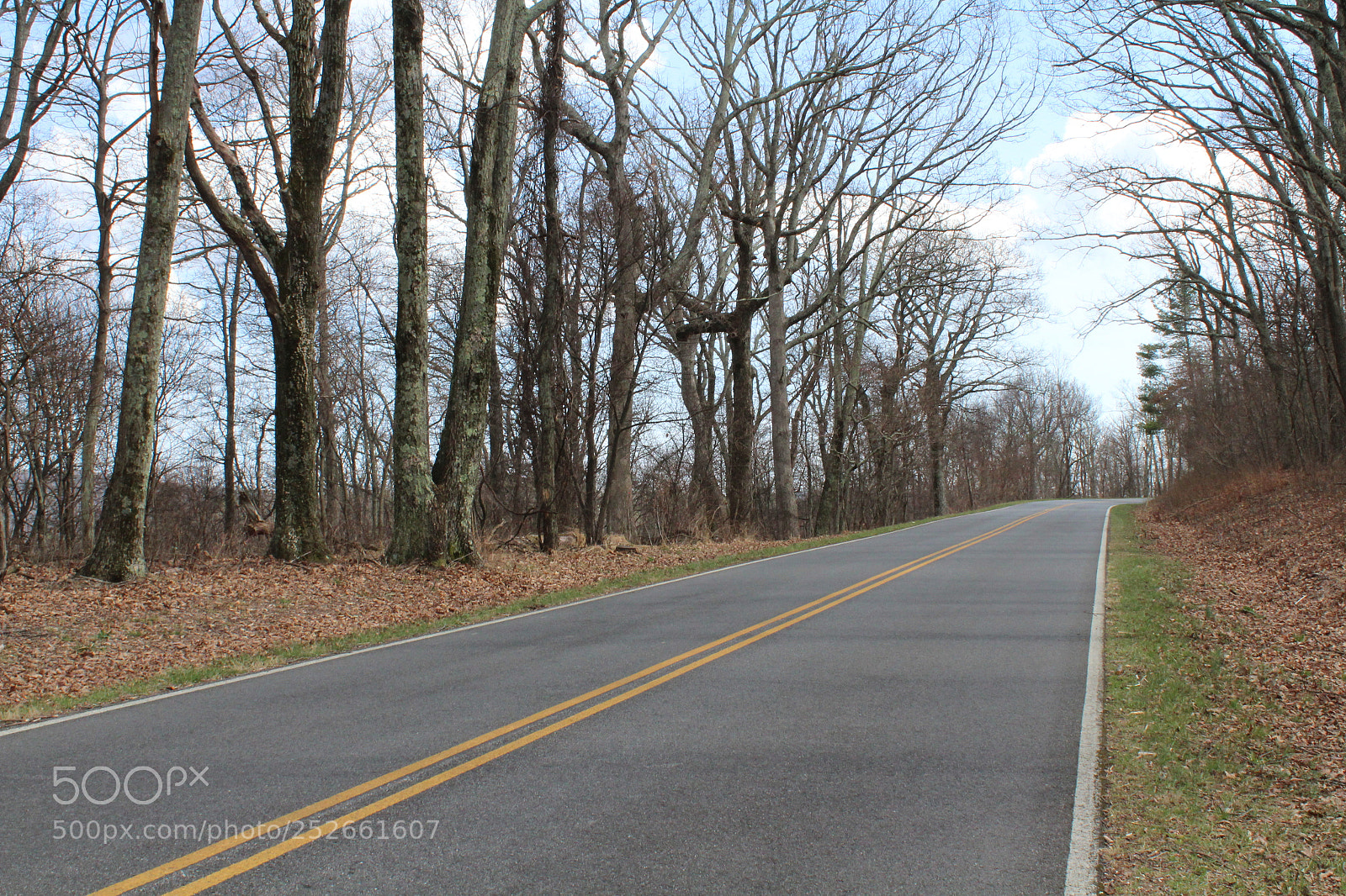 Canon EOS 1300D (EOS Rebel T6 / EOS Kiss X80) sample photo. Road less traveled photography