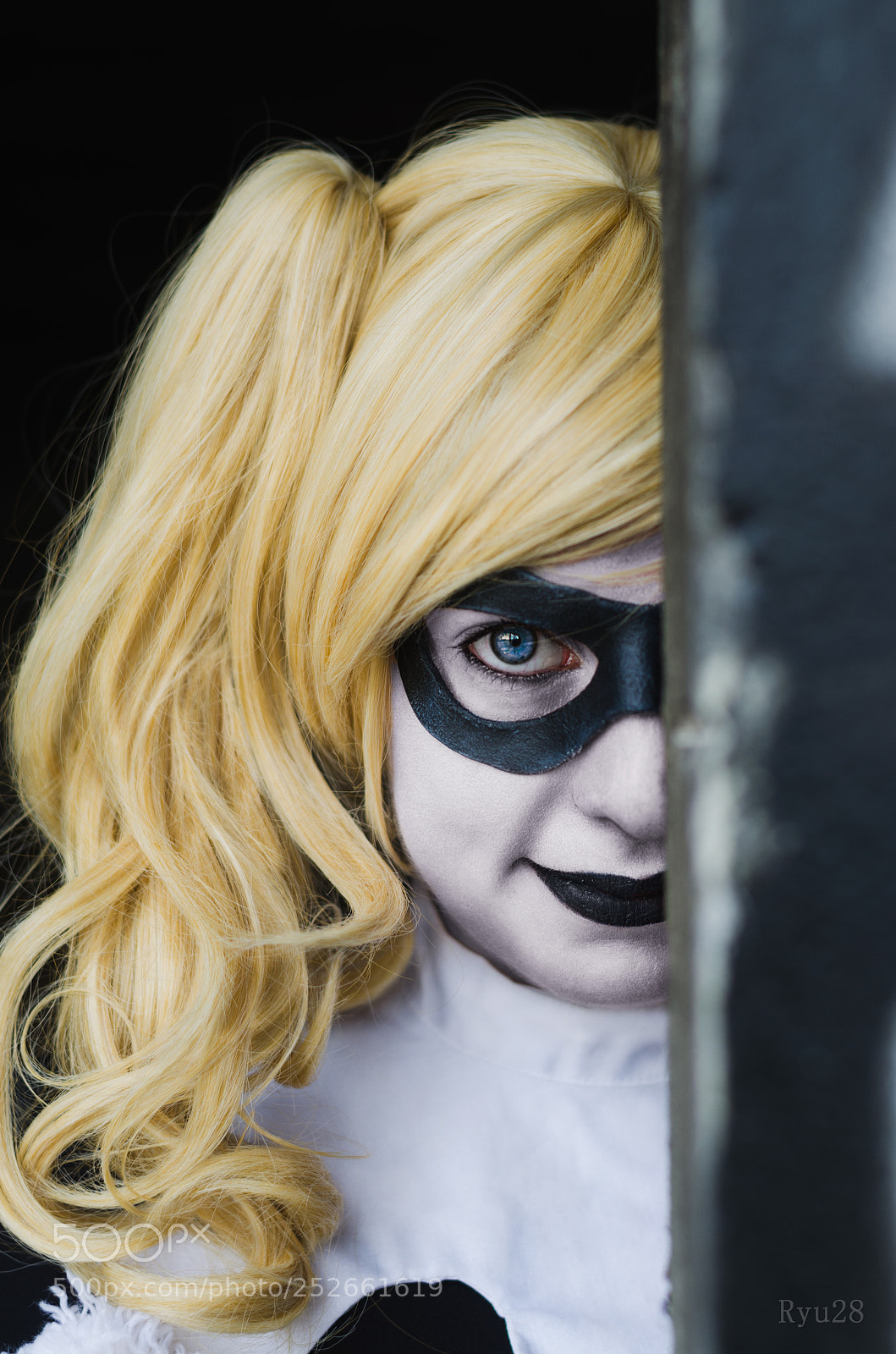 Nikon D5100 sample photo. Harley photography