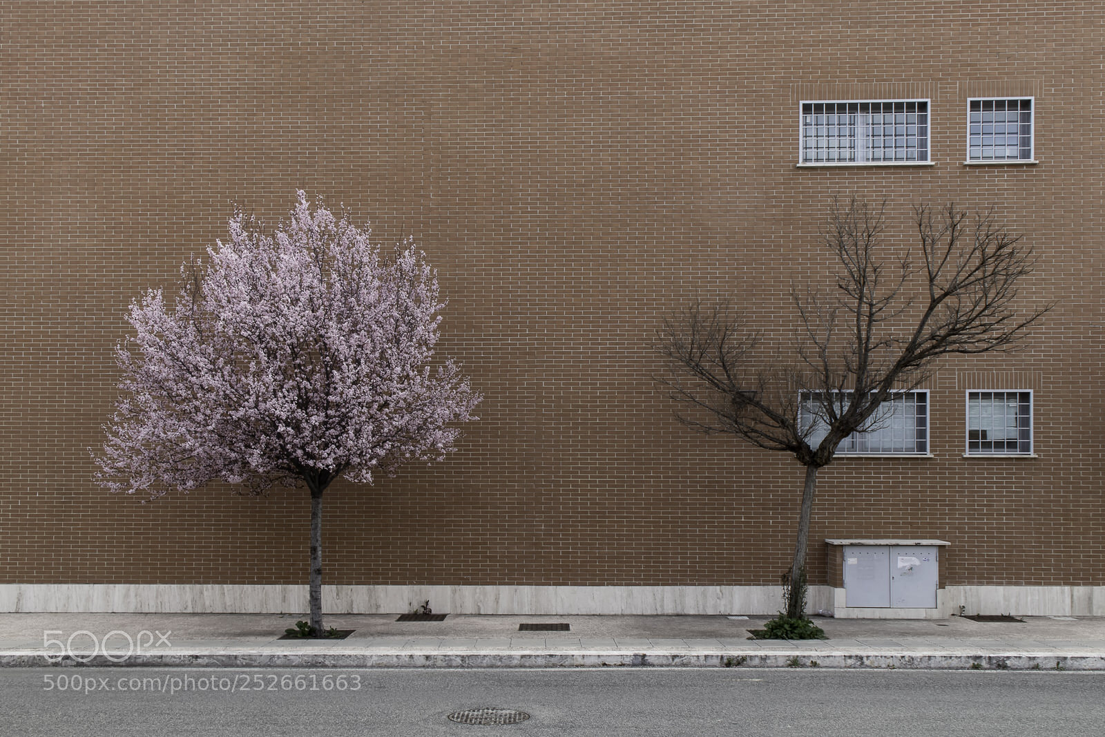 Canon EOS M5 sample photo. Uncertain spring photography
