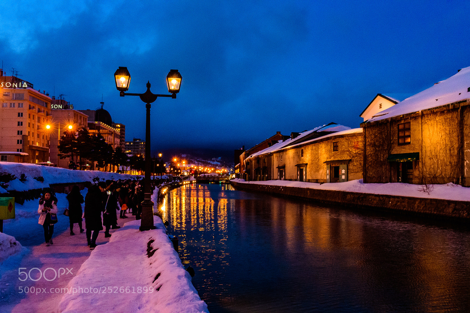 Nikon D500 sample photo. Otaru at night photography