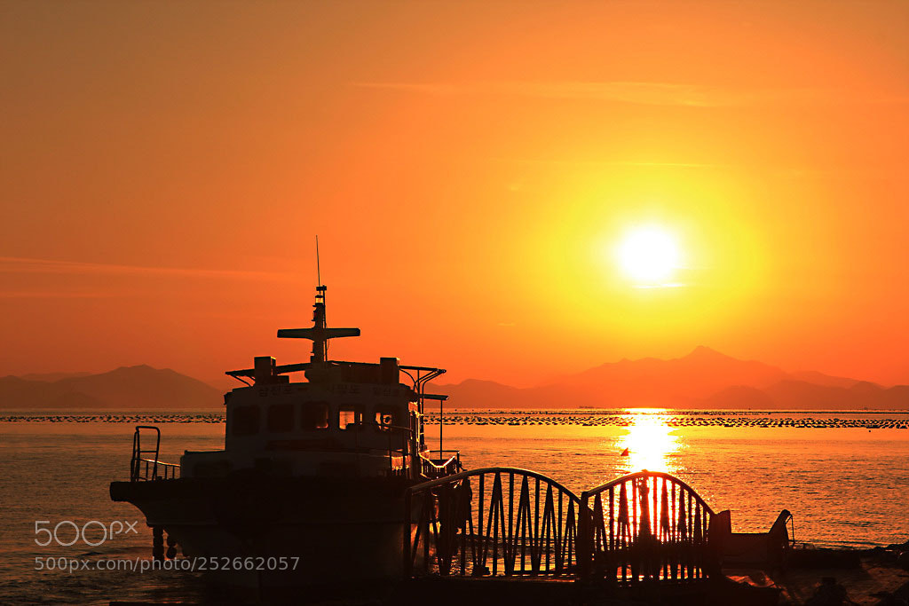 Canon EOS 60D sample photo. The morning sun has photography