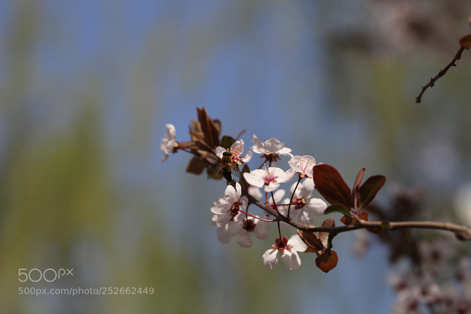 Canon EOS 5D Mark II sample photo. Untitled photography