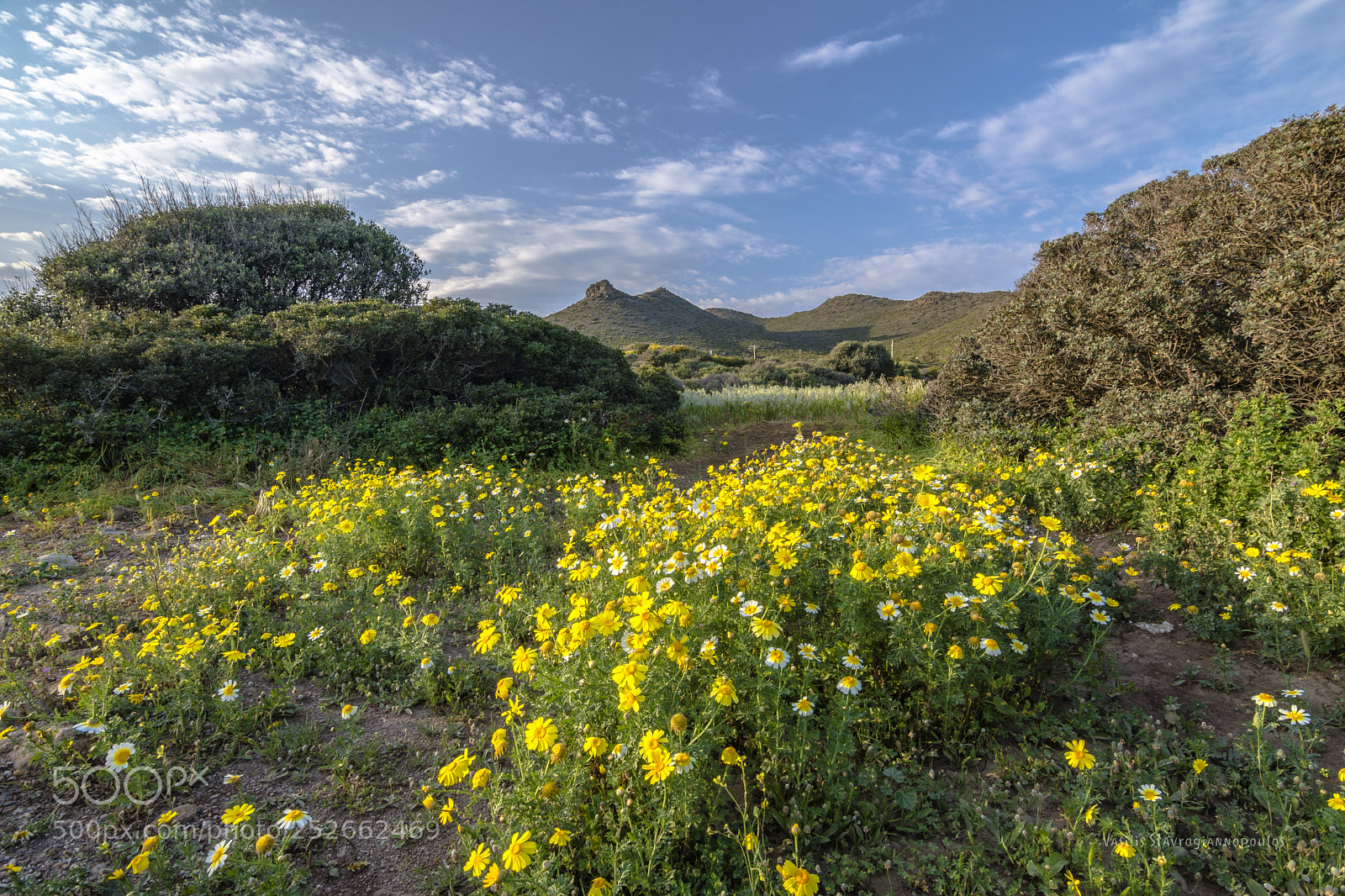 Nikon D7200 sample photo. Spring landscape photography