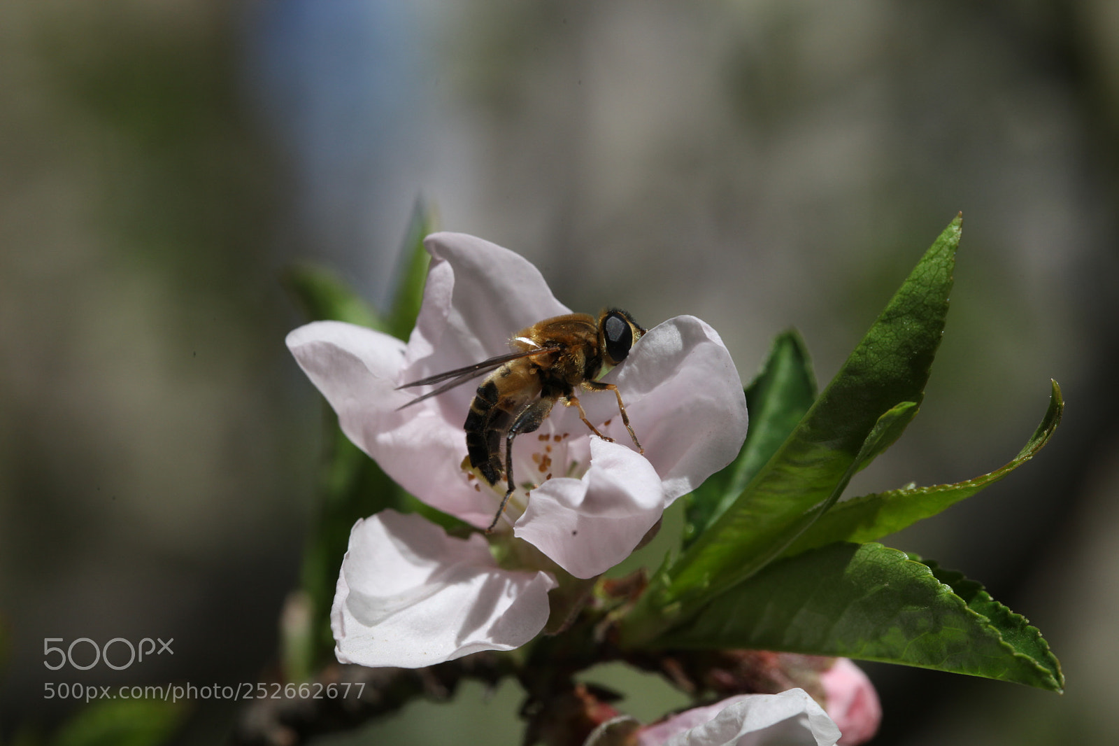 Canon EOS 5D Mark II sample photo. Untitled photography