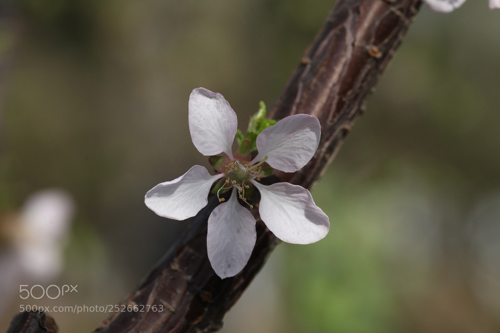 Canon EOS 5D Mark II sample photo. Untitled photography