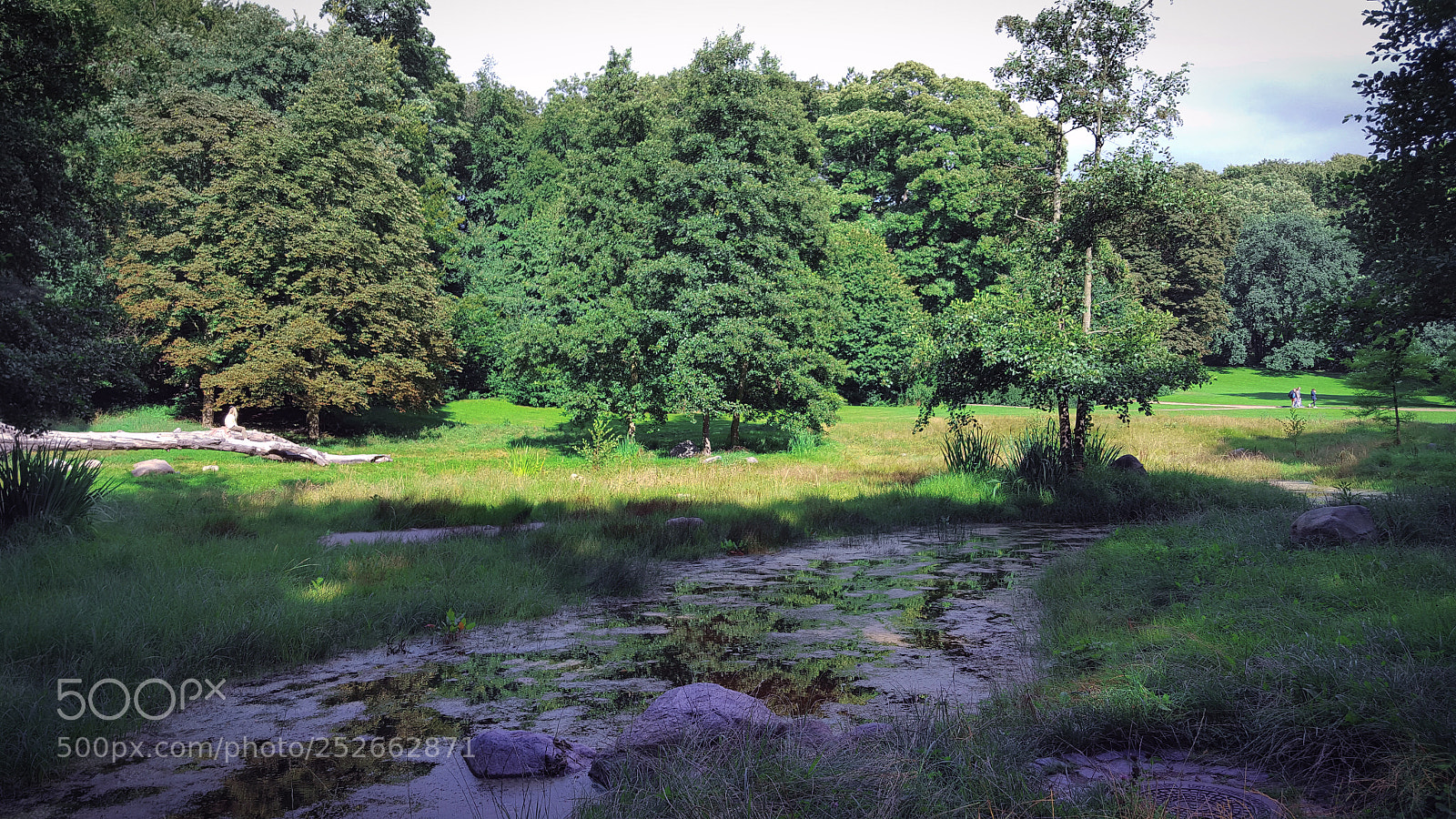 Samsung Galaxy S6 sample photo. Summer marshes photography