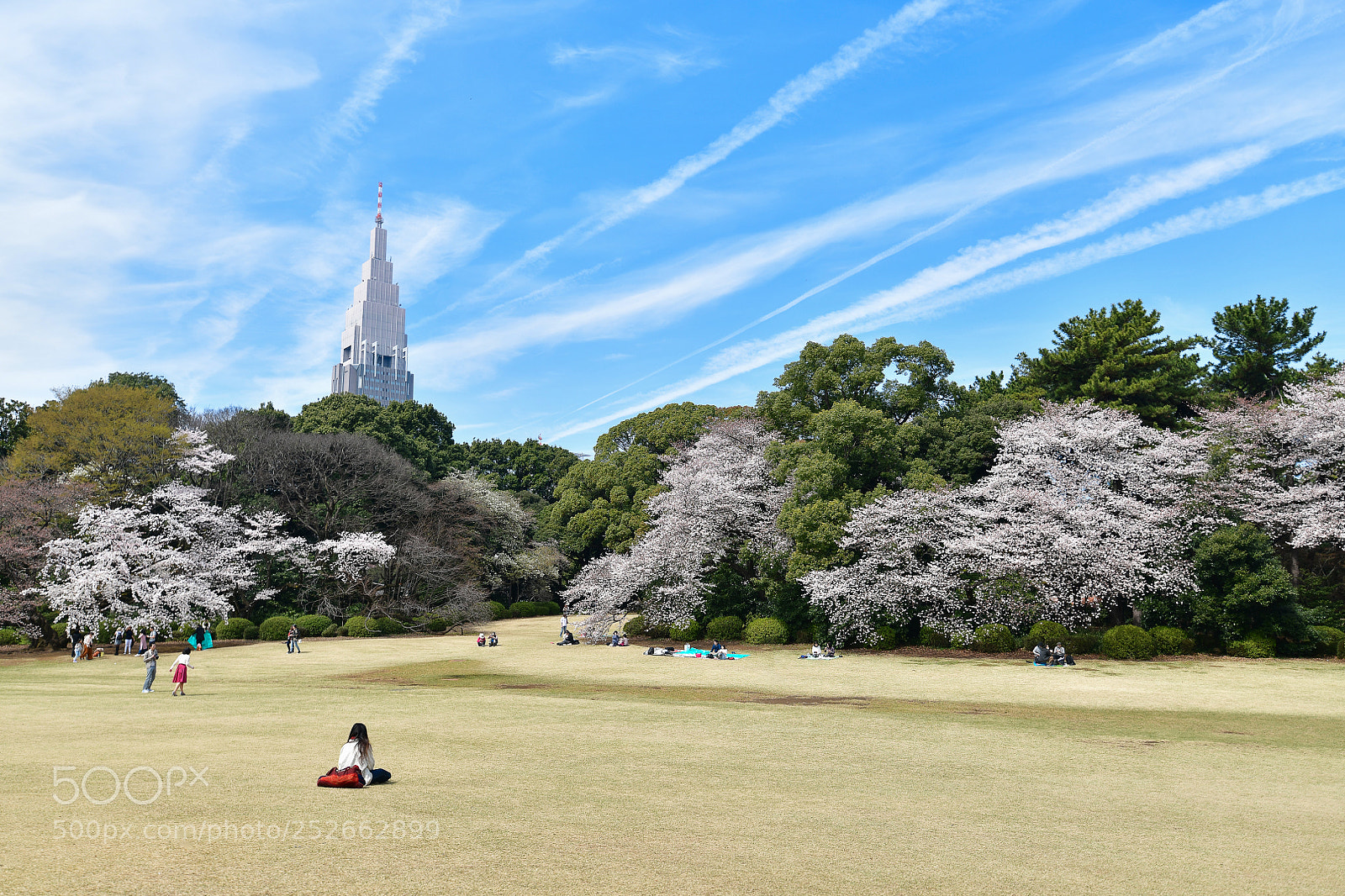 Nikon D850 sample photo. Restful day photography