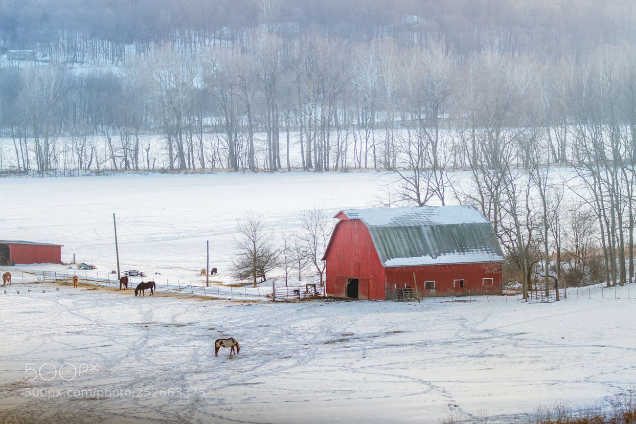 Canon EOS 7D sample photo. Winter farm in ohio photography