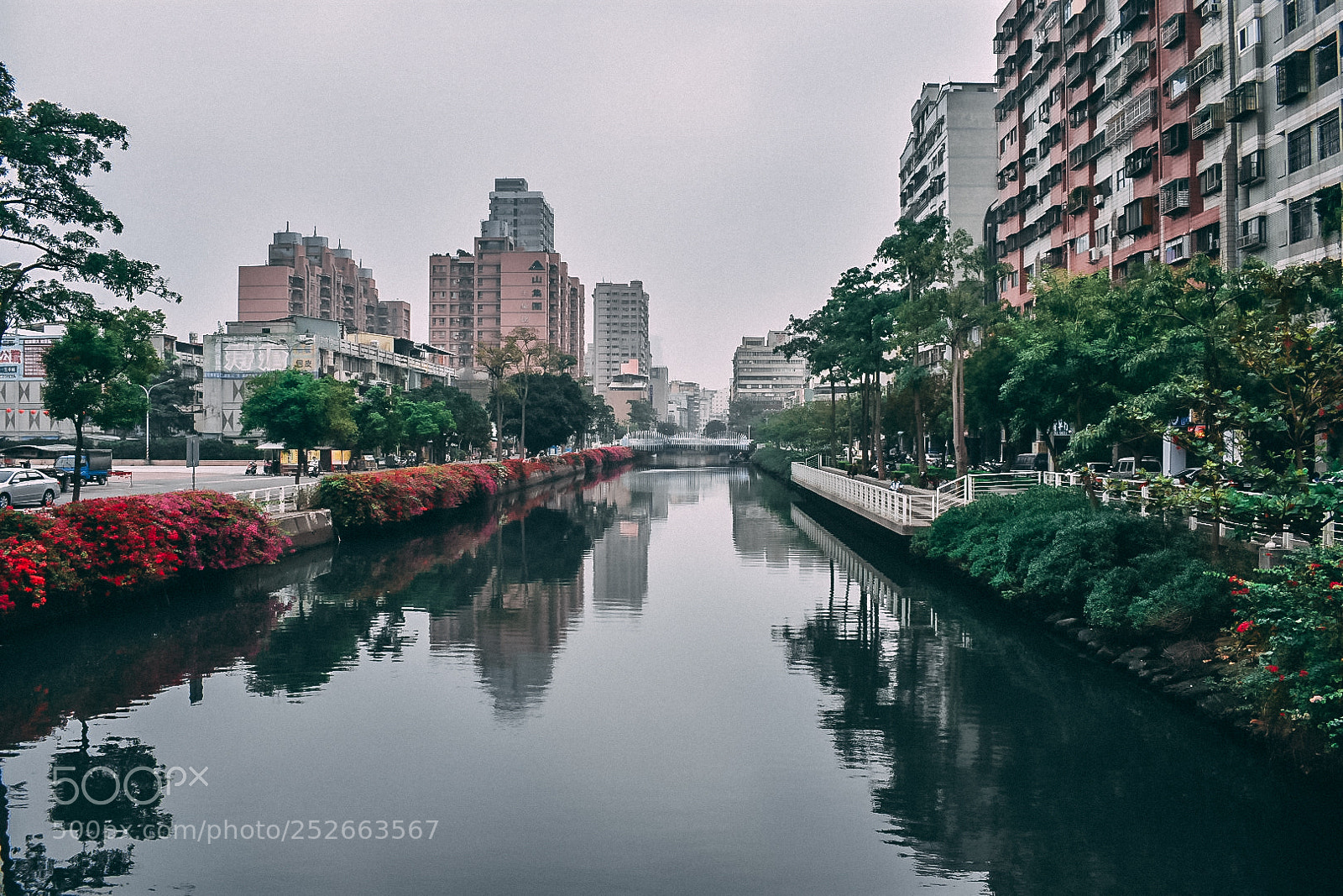 Nikon D3400 sample photo. Love.river 112917 photography