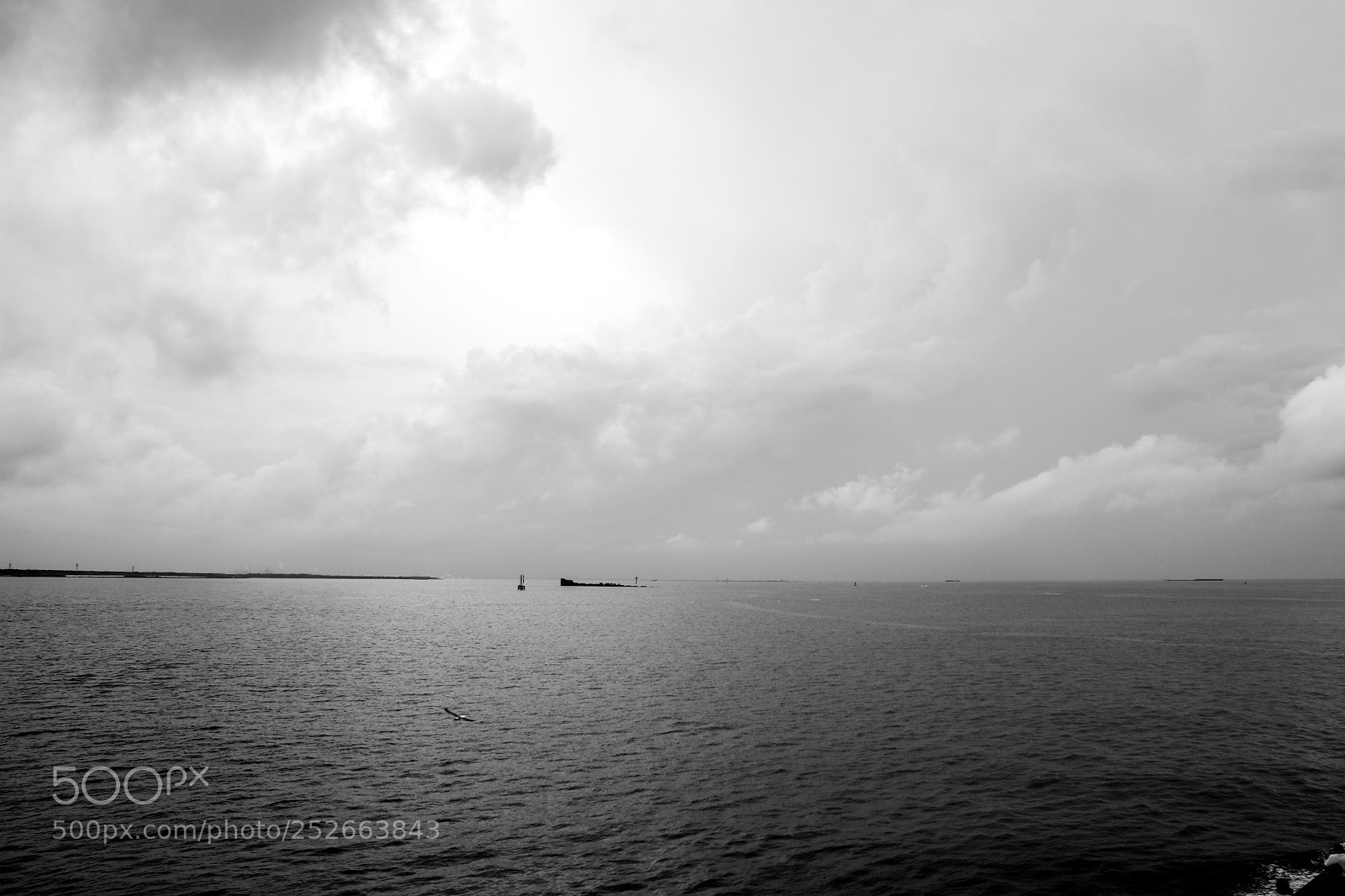Canon EOS 760D (EOS Rebel T6s / EOS 8000D) sample photo. Ferry ride galveston photography