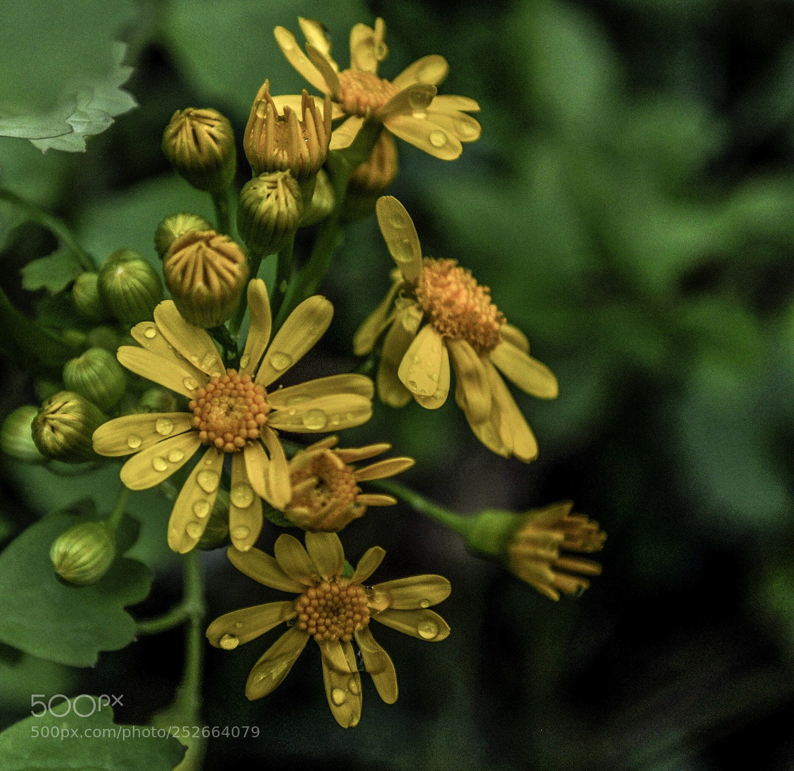 Nikon D90 sample photo. Untitled photography