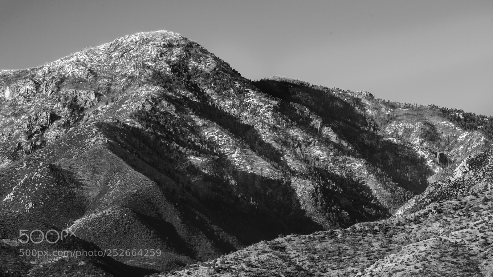 Nikon D7100 sample photo. Elevations photography