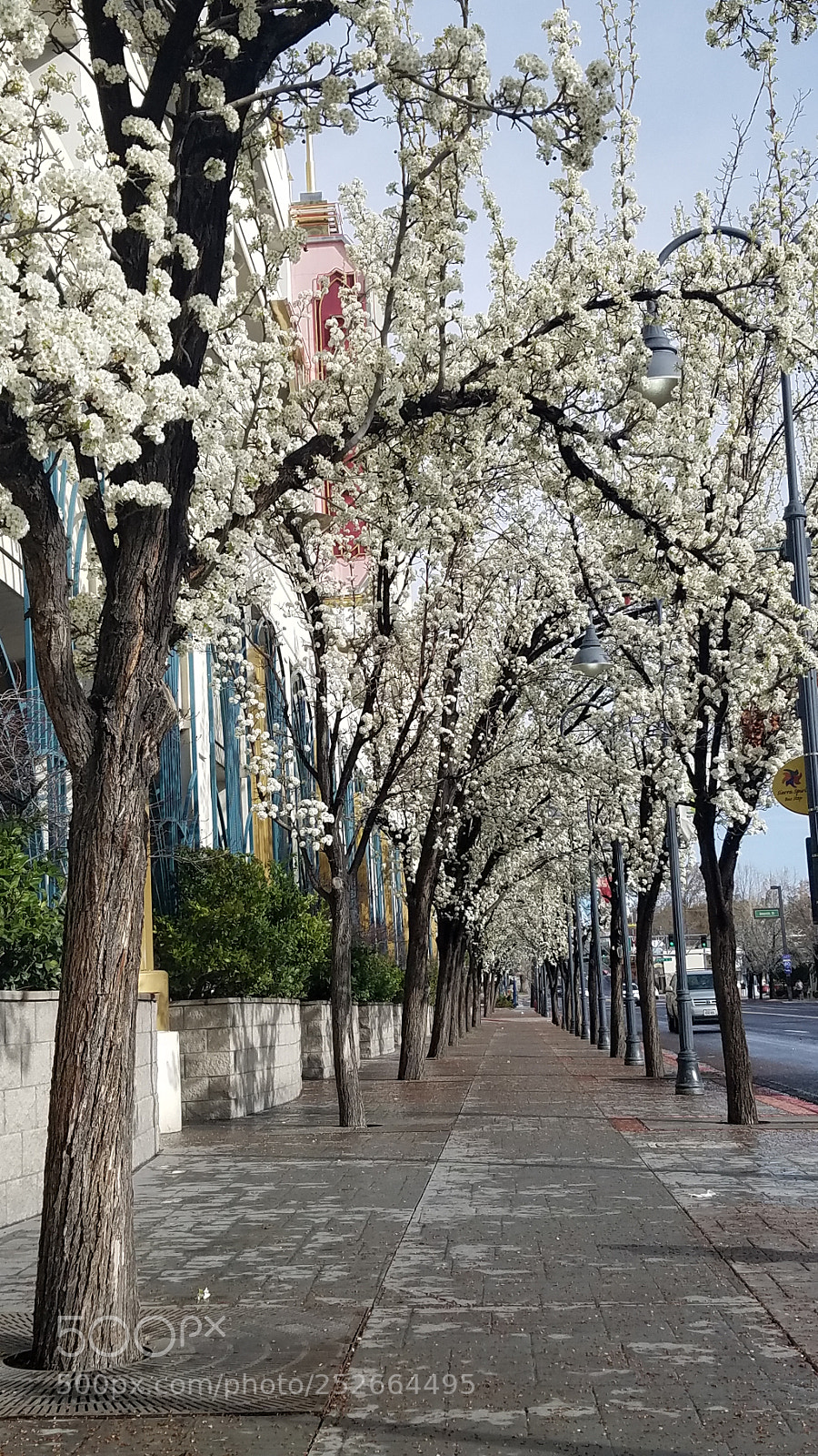 Samsung Galaxy S7 sample photo. Untitled photography