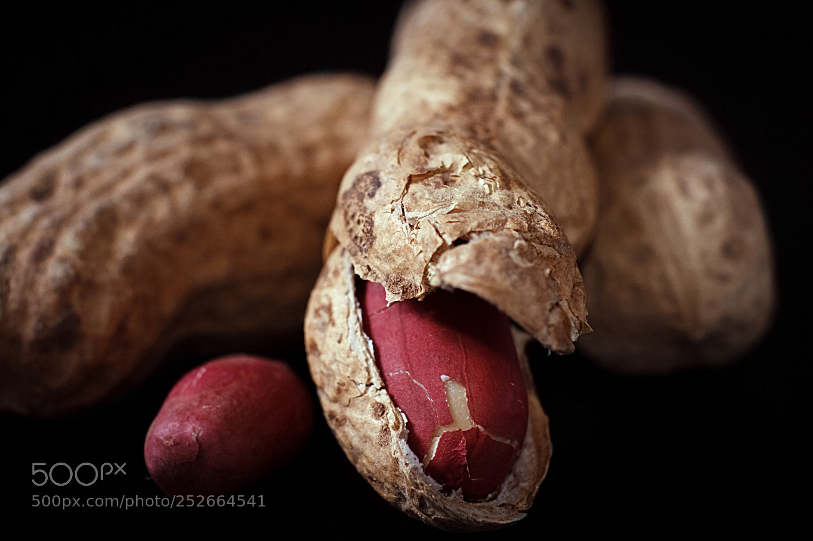 Canon EOS 60D sample photo. Monkey nut photography
