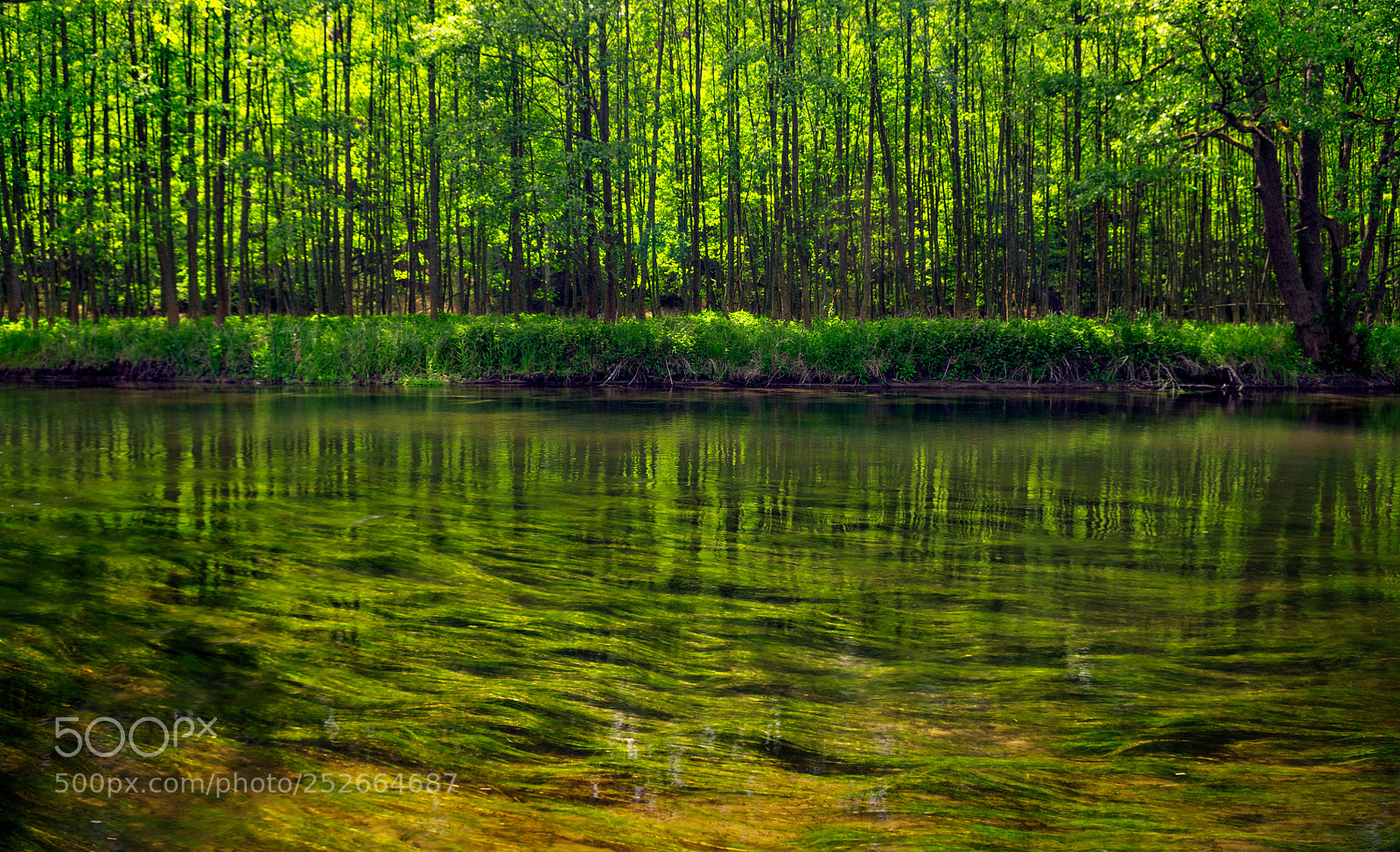 Pentax K-r sample photo. Green river... photography