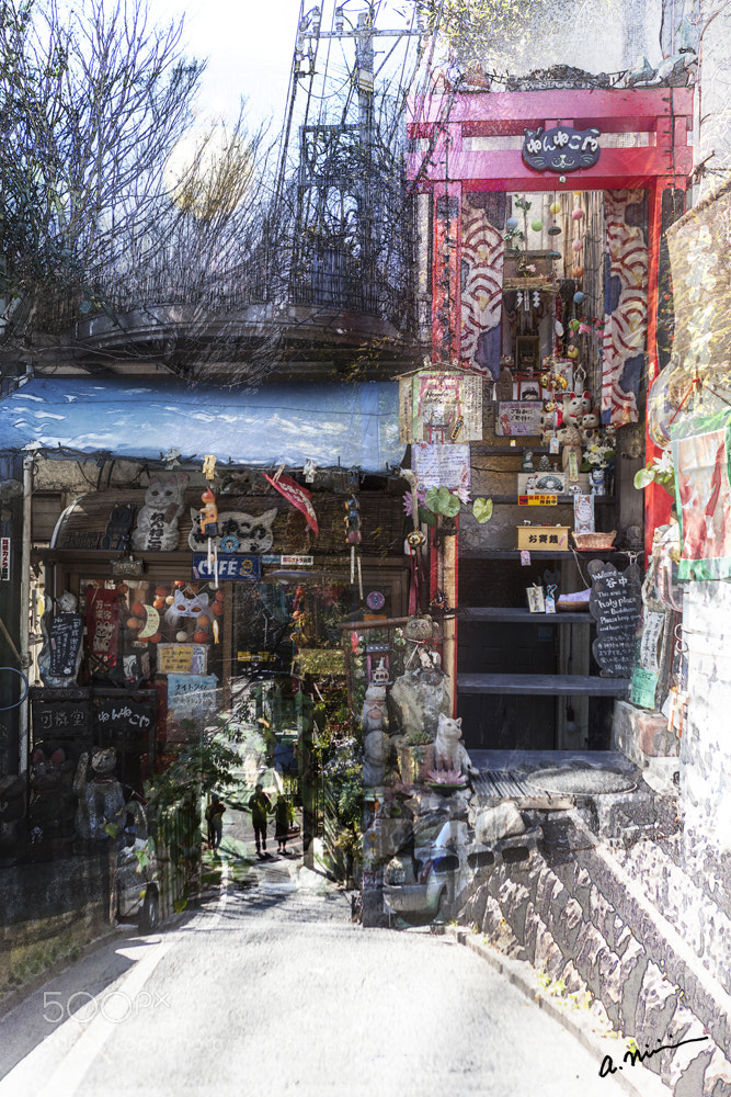 Canon EOS 5D Mark II sample photo. Miura slope at yanaka photography