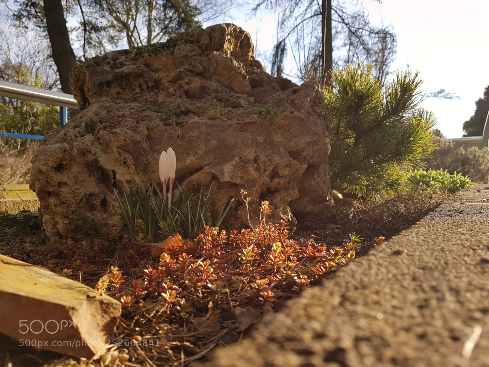 Samsung Galaxy S7 sample photo. Untitled photography