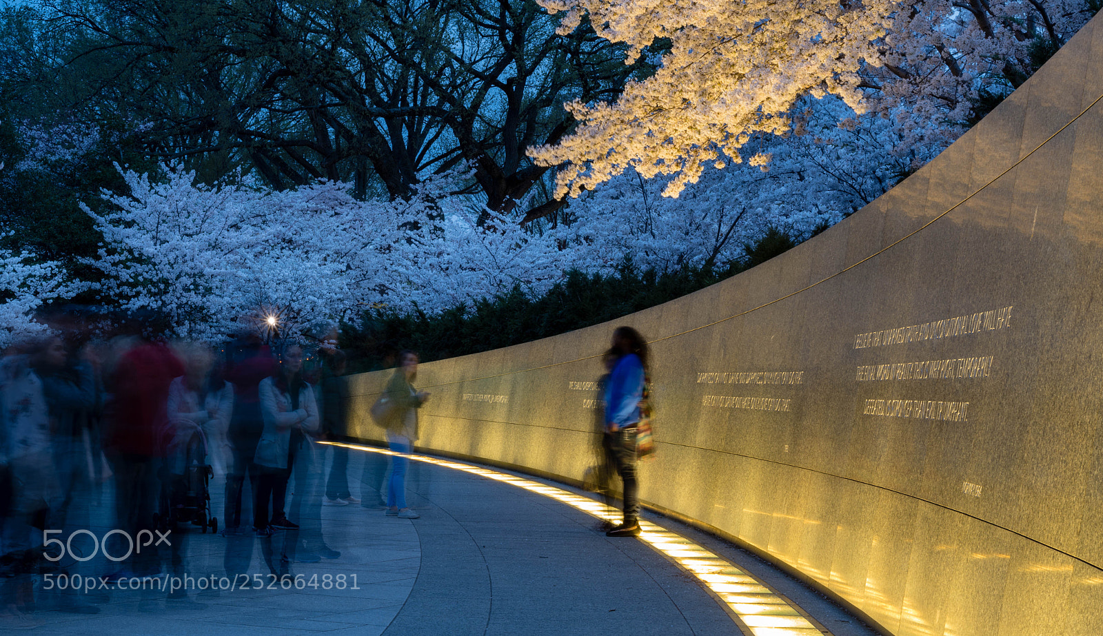 Nikon D500 sample photo. The king's wall photography