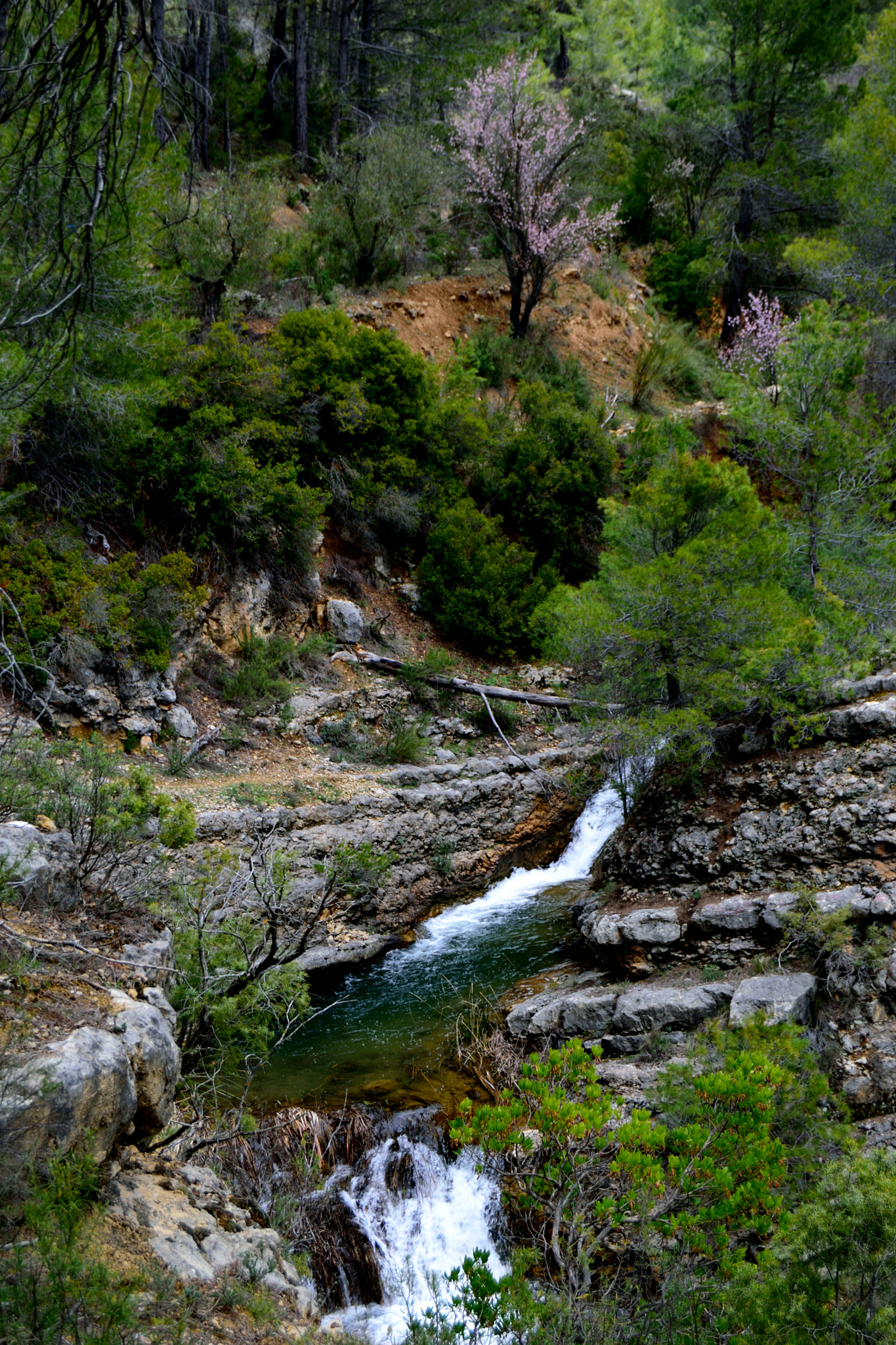 Nikon D3300 sample photo. Arroyo del arguellite photography