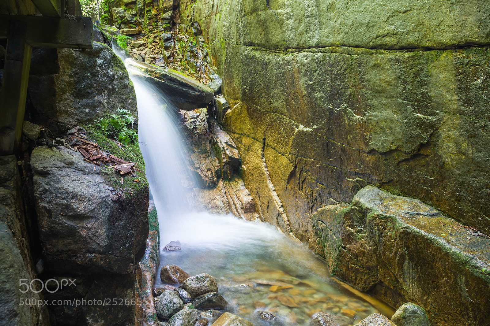 Pentax K-S2 sample photo. Flume gorge photography