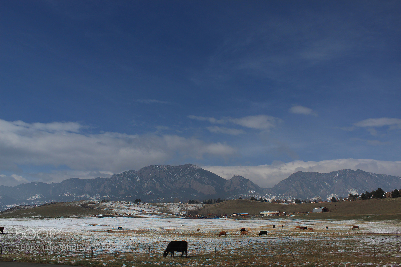 Canon EOS 1300D (EOS Rebel T6 / EOS Kiss X80) sample photo. Snowy day photography