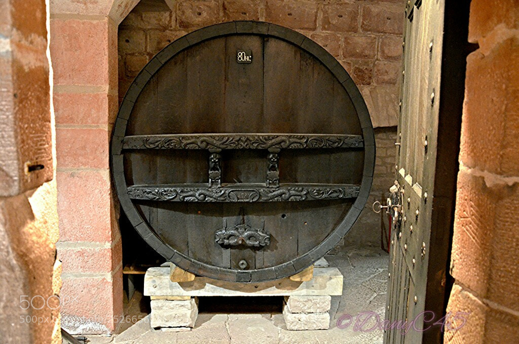 Nikon D5100 sample photo. Alsace (33) photography