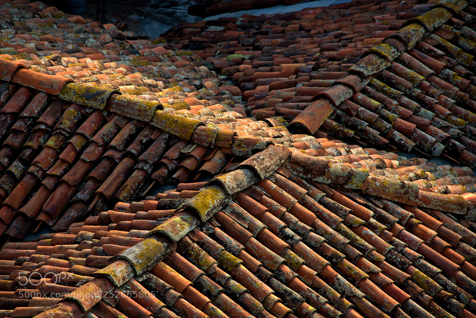 Nikon D600 sample photo. Tejados. photography