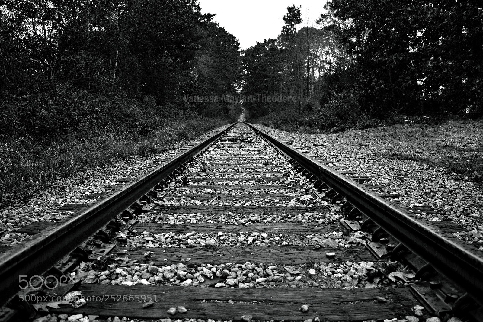 Nikon D5200 sample photo. Casey jones black & white photography