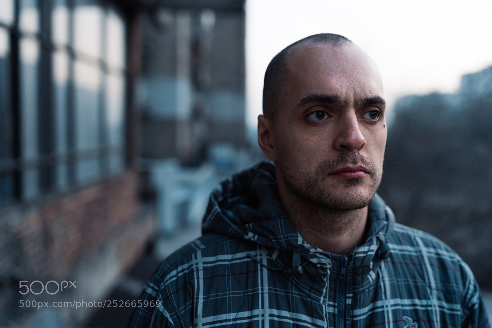 Sony a7R II sample photo. 327/365 photography