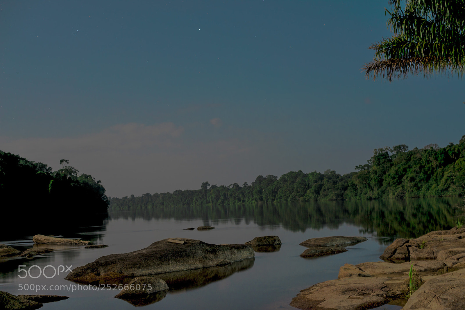 Nikon D810 sample photo. Nature itself is beauty photography