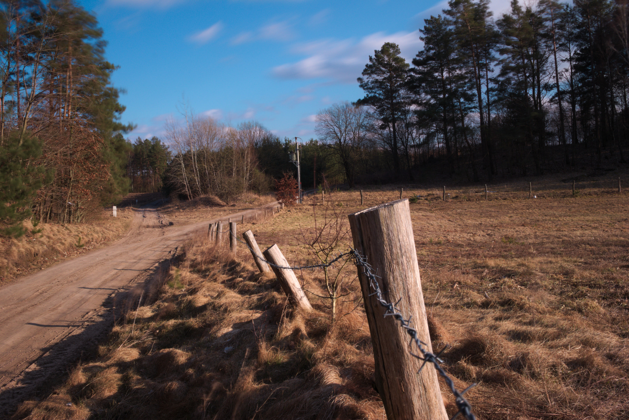 Canon EF-S 24mm F2.8 STM sample photo