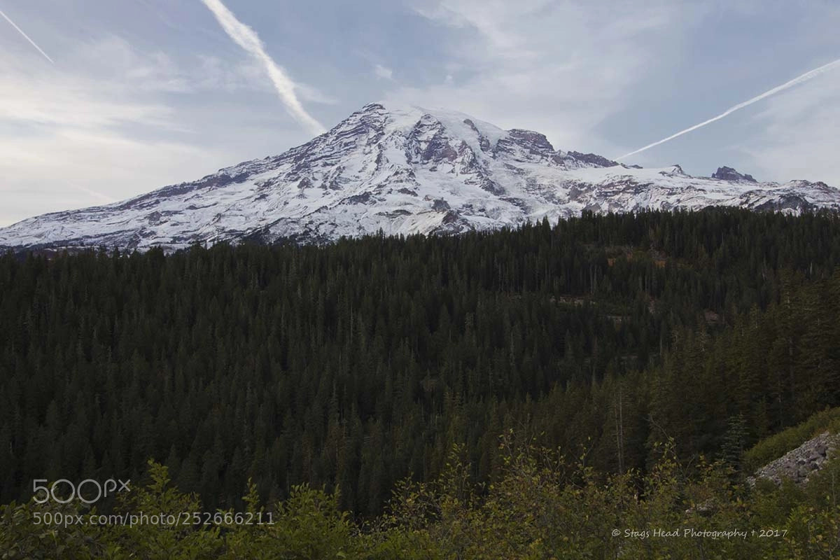 Canon EOS 60D sample photo. Mt rainier photography