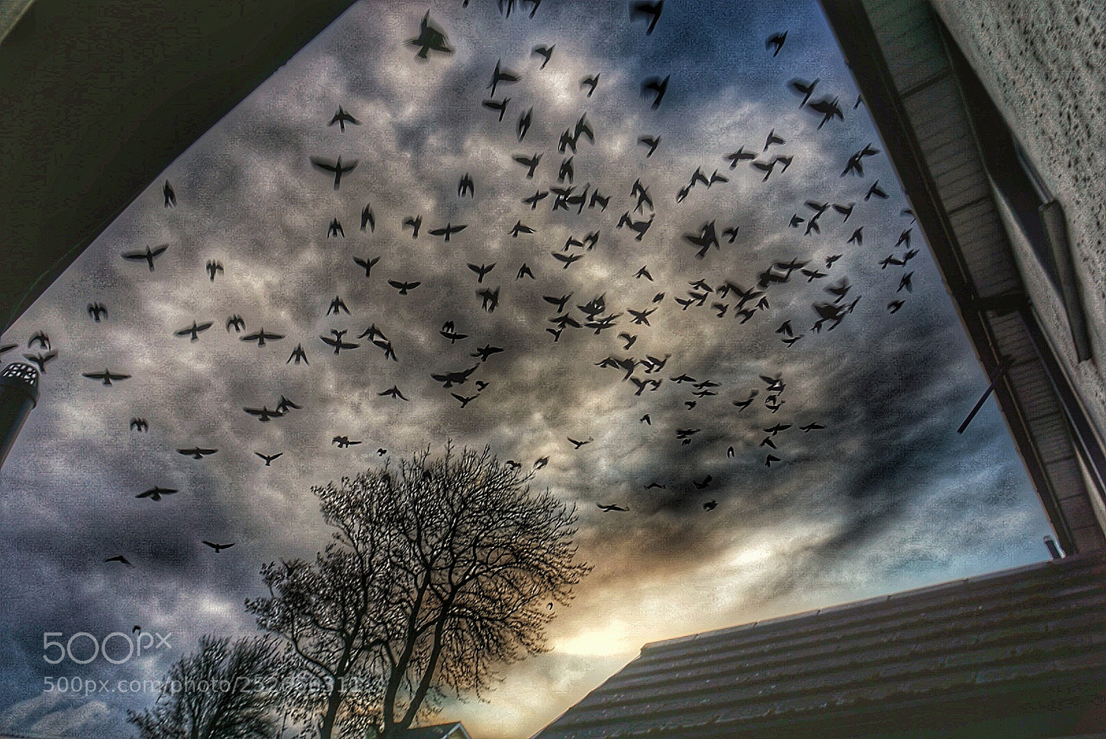 Sony a6000 sample photo. Scatter photography