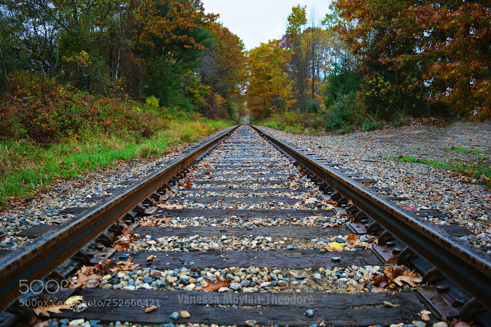 Nikon D5200 sample photo. Casey jones color photography