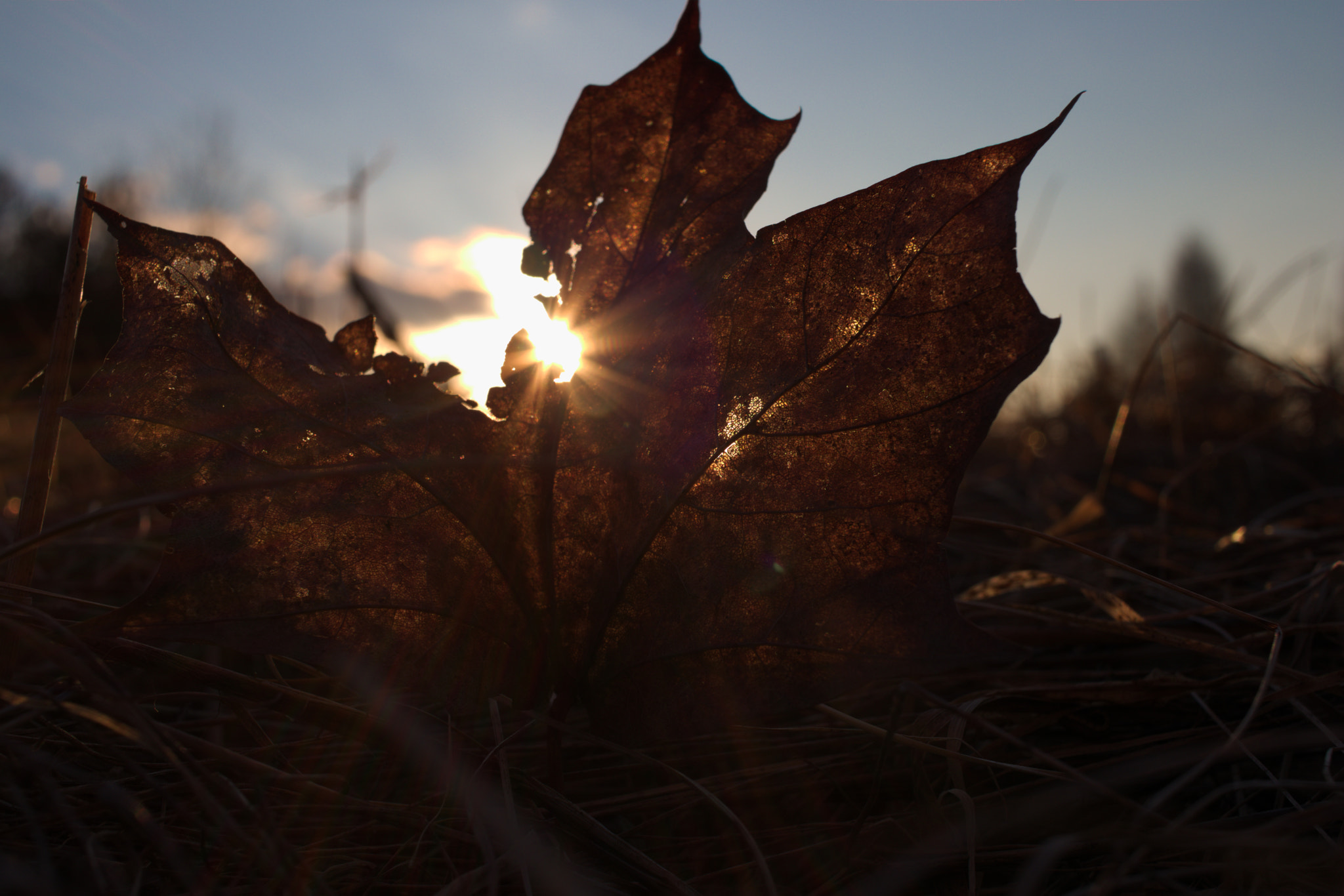 Canon EF-S 24mm F2.8 STM sample photo