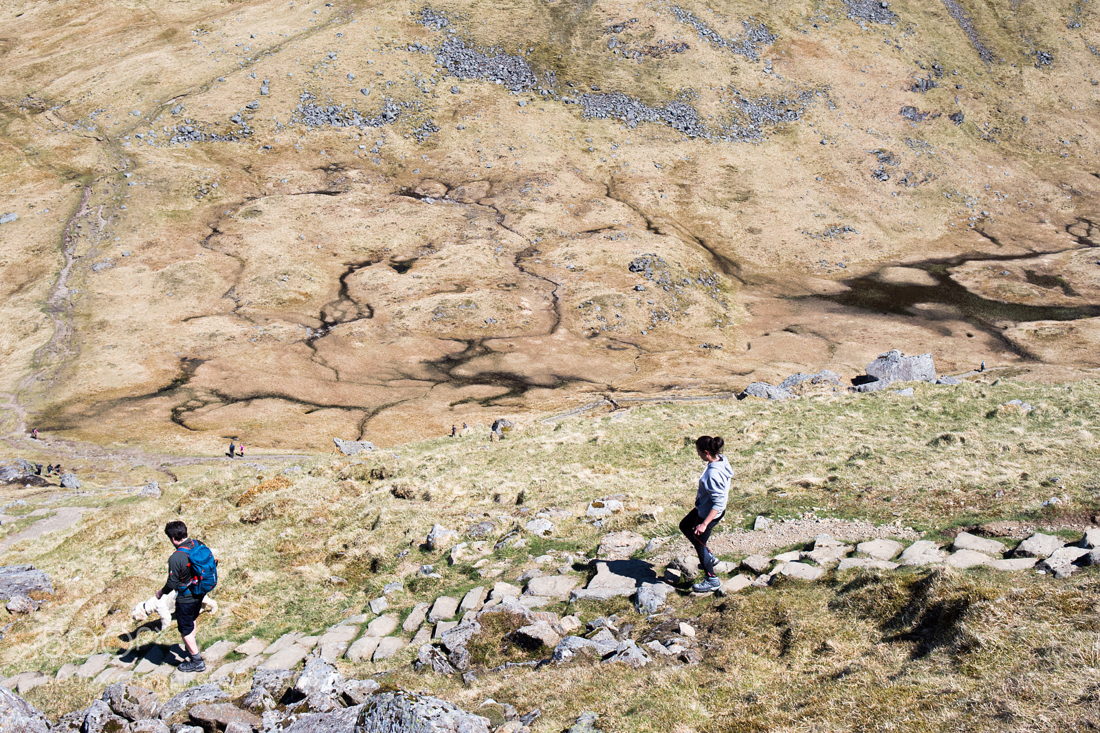 Nikon D7200 sample photo. Climbing on the cobbler photography