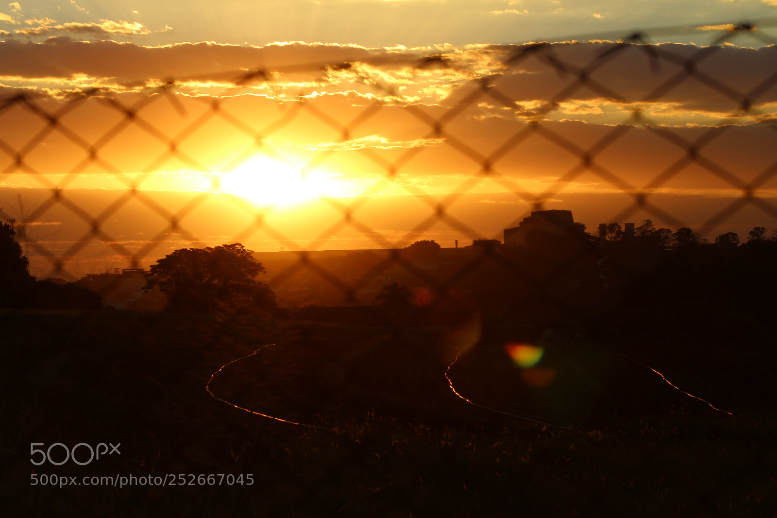 Canon EF 75-300mm f/4-5.6 sample photo. Sunset in esalq photography