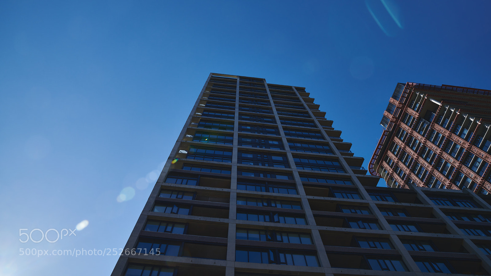 Nikon D850 sample photo. Lookup photography