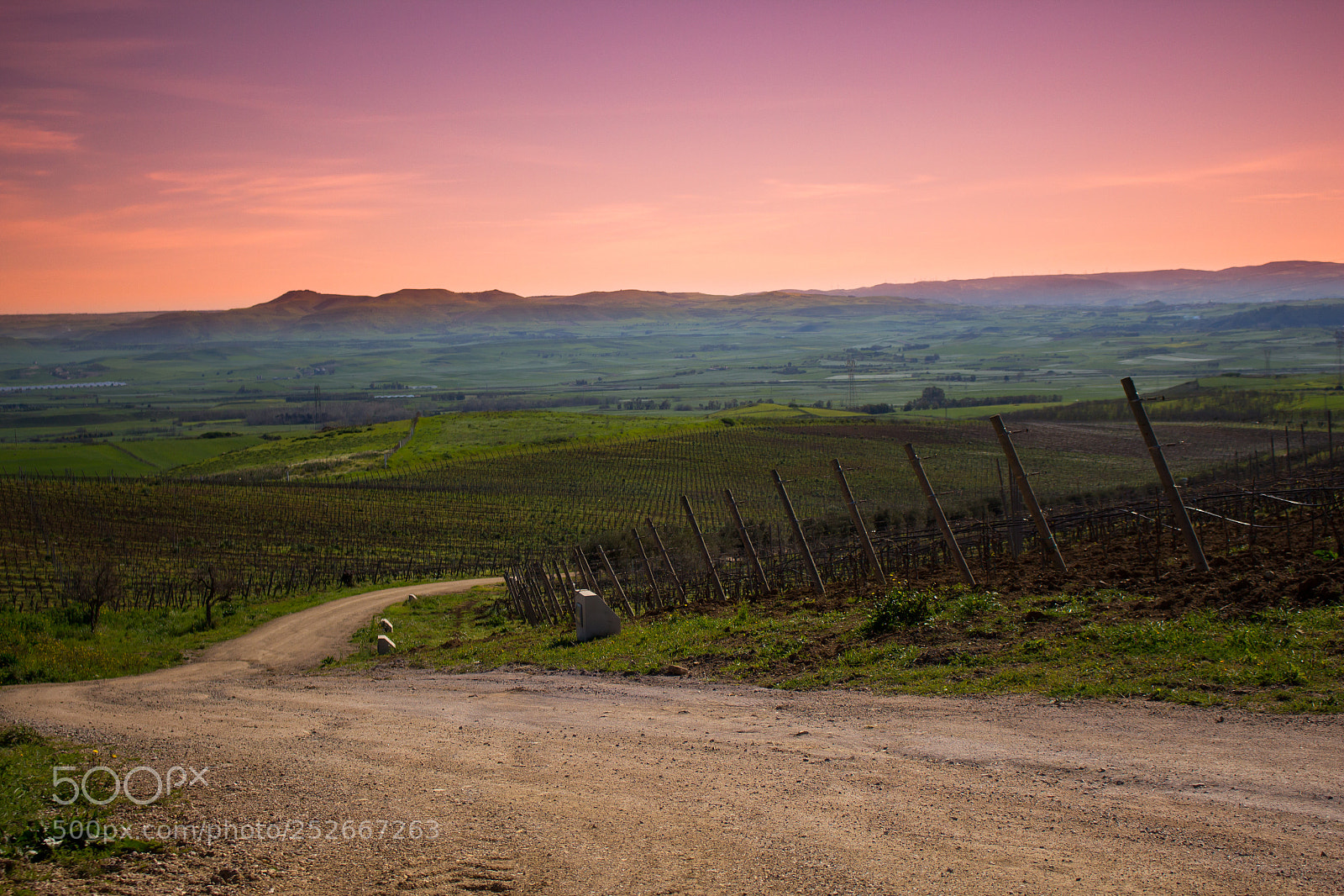 Canon EOS 700D (EOS Rebel T5i / EOS Kiss X7i) sample photo. Sunset at the vineyard photography