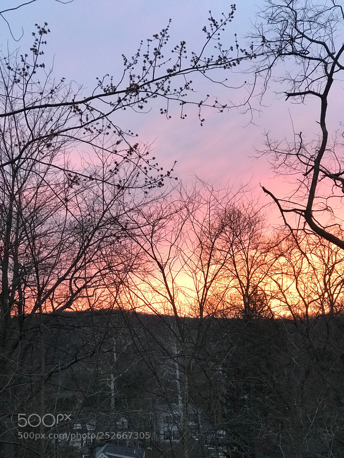 Apple iPhone 7 Plus sample photo. Cold spring sunset photography
