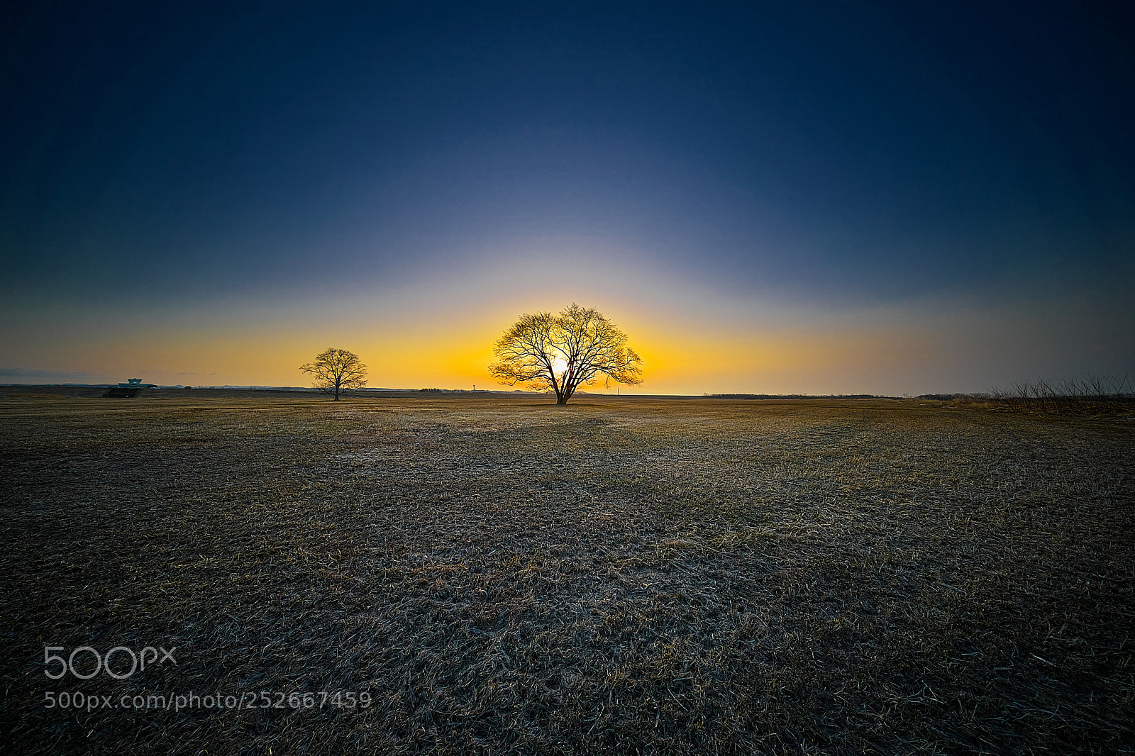 Sony a9 sample photo. Early spring dawn photography