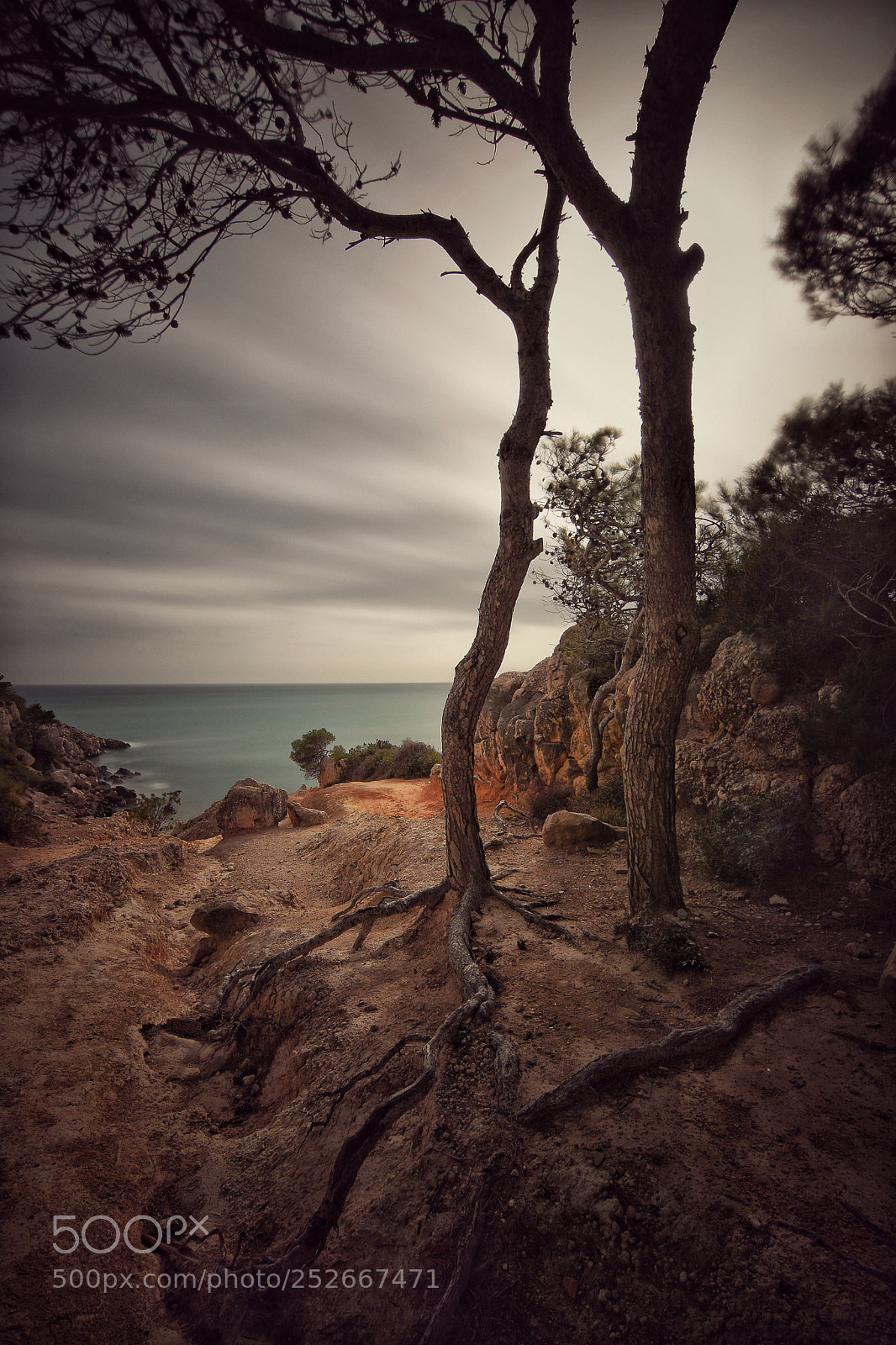 Nikon D7200 sample photo. Cala penya tallada.  photography
