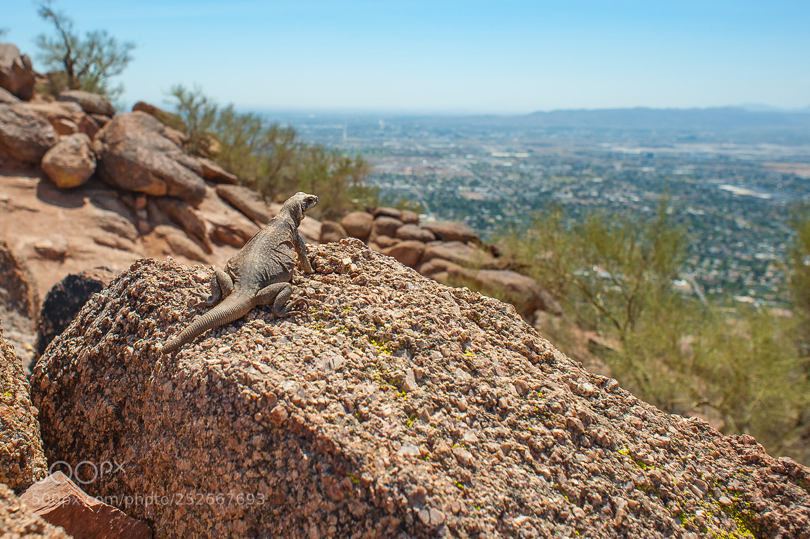 Nikon D700 sample photo. View of the kingdom photography
