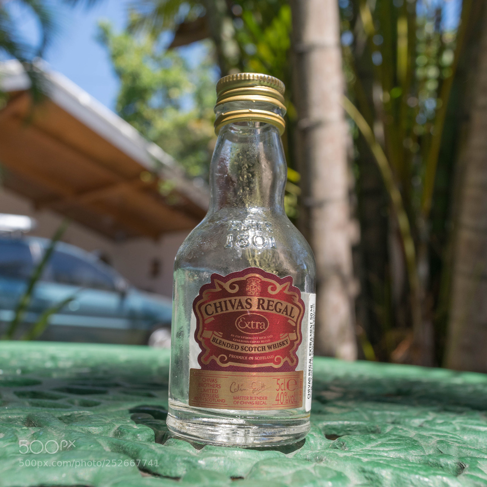 Nikon D5300 sample photo. Nice photography photography