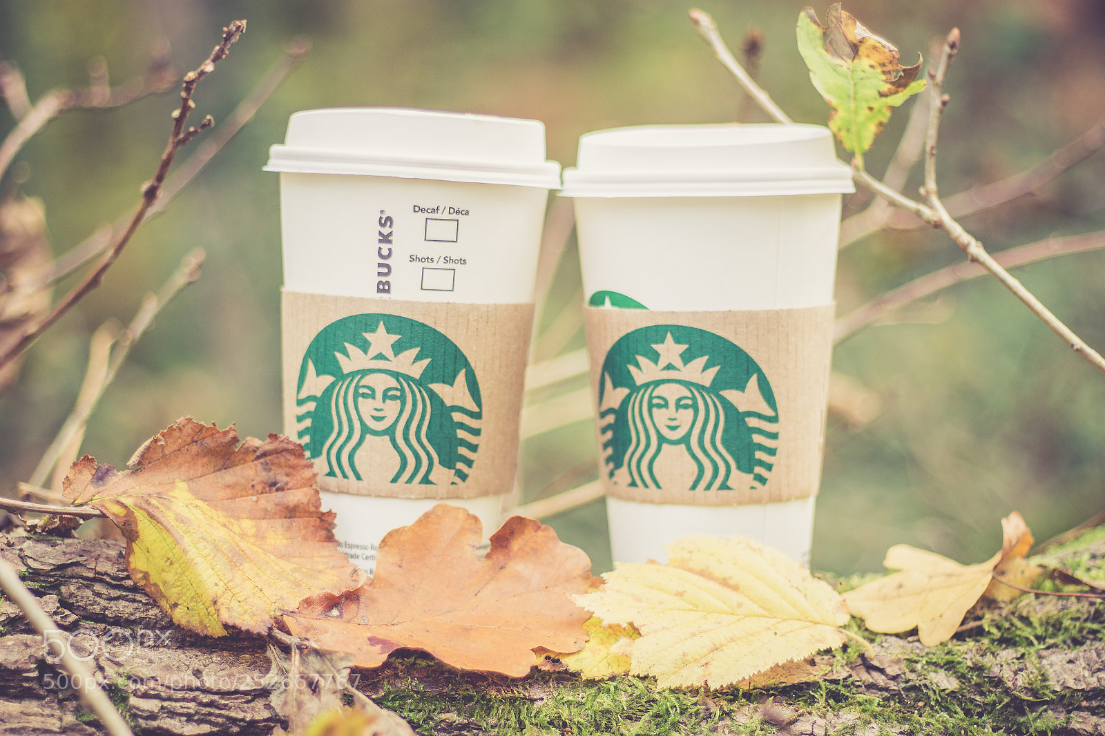Canon EOS 100D (EOS Rebel SL1 / EOS Kiss X7) sample photo. Coffee cups photography