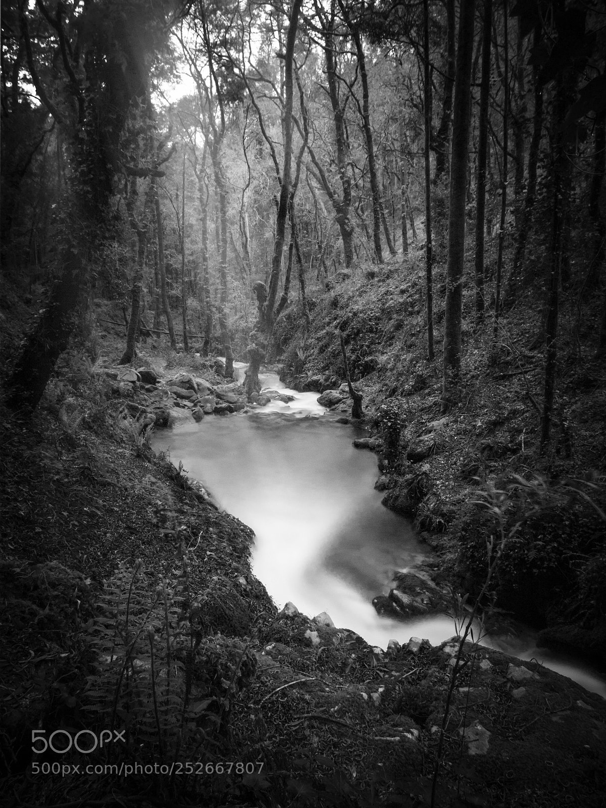 Olympus OM-D E-M10 sample photo. Rio da fraga photography