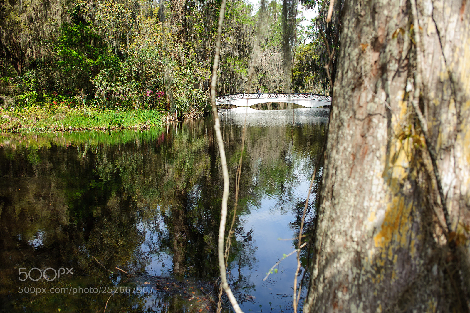 Nikon D700 sample photo. Framed bridge photography